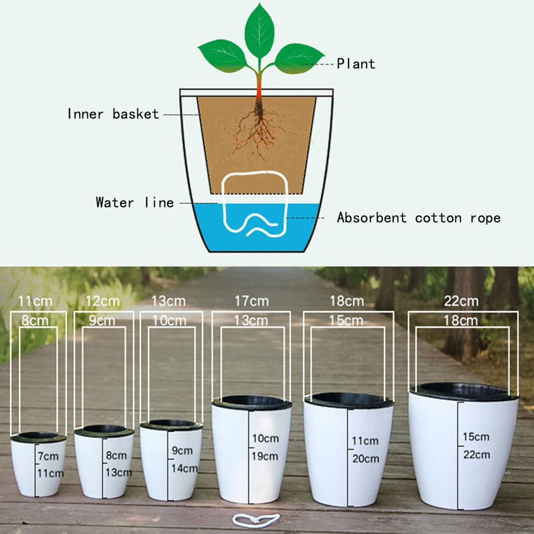 Maceta de flores de riego auto - Self Watering Insert reseña y precio