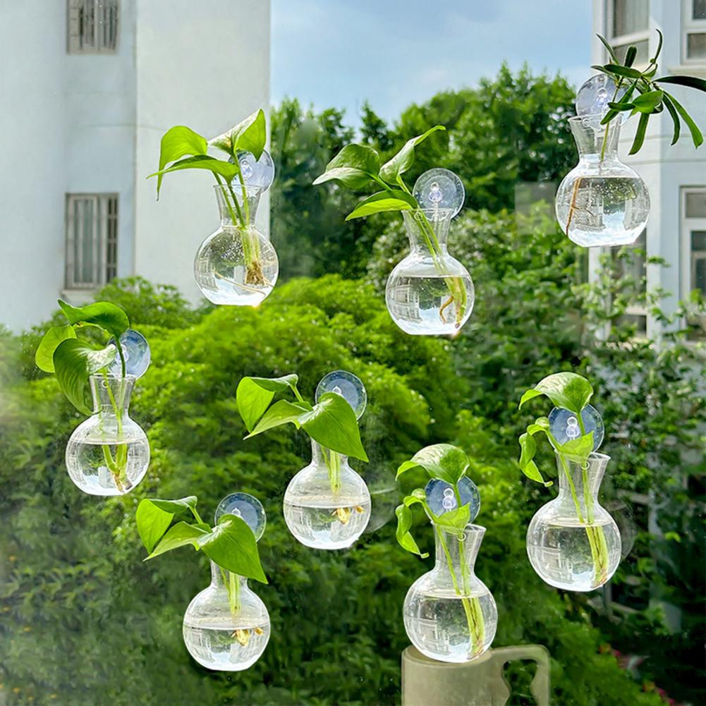 1/2/3/4/6/8 Piezas Bulbo de Pr - Propagation Station Vase reseña y precio