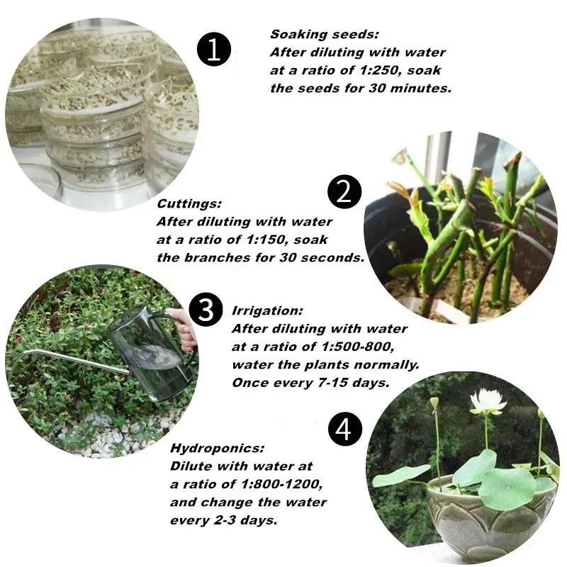 Polvo de enraizamiento rápido, - Rooting Hormone Powder reseña y precio