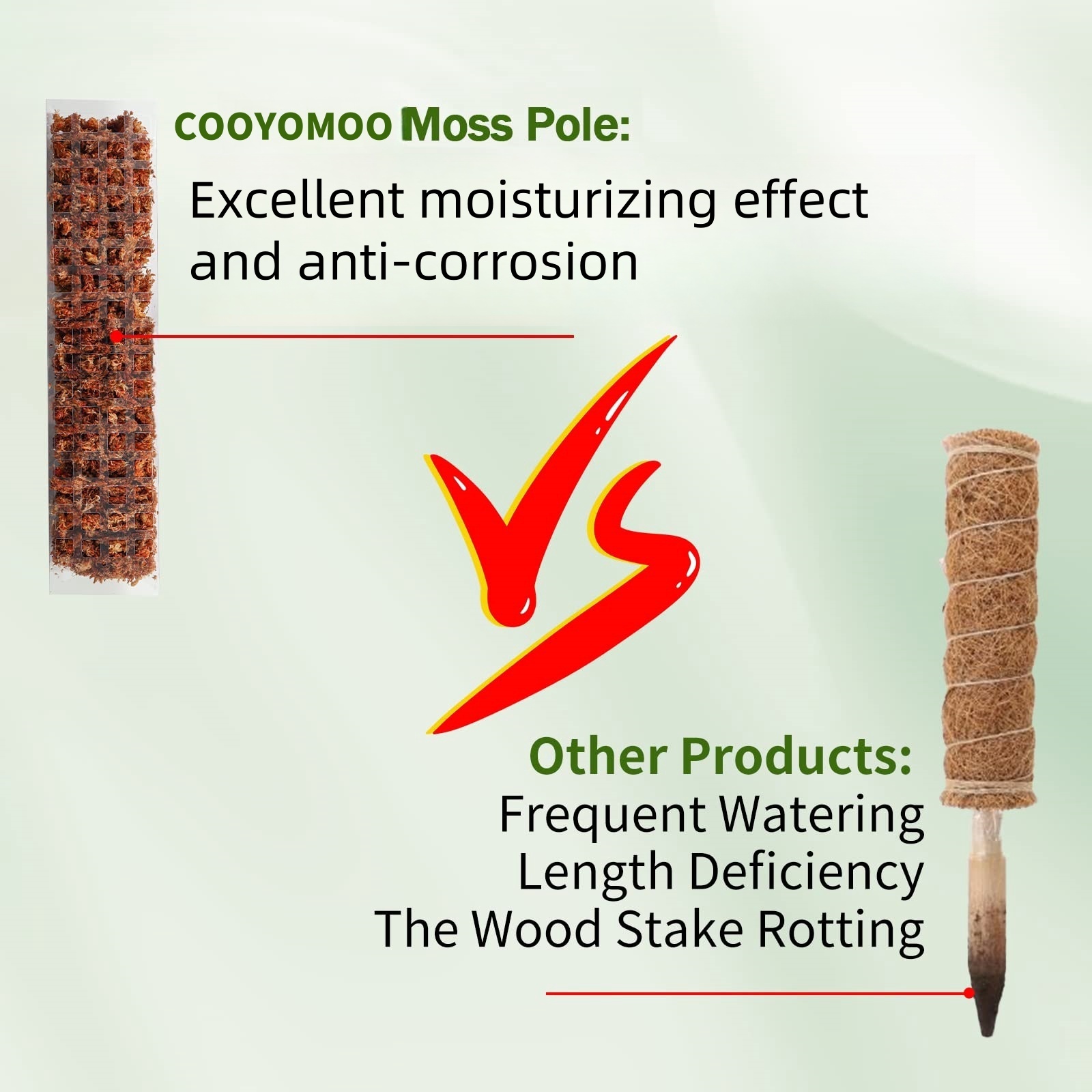 Poste de musgo de plástico, po - Sphagnum Moss Dry reseña y precio