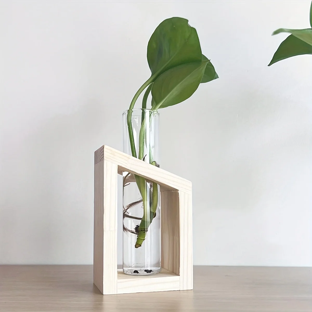 Tubo de ensayo, florero de vid - Propagation Station Vase reseña y precio
