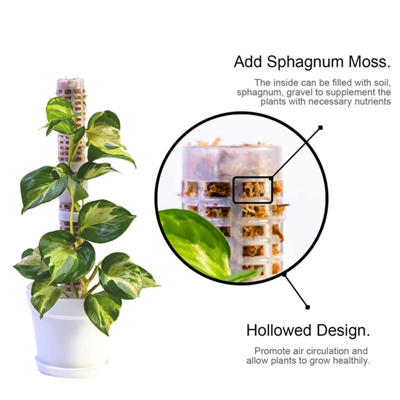 Columna de soporte para planta - Sphagnum Moss Dry reseña y precio