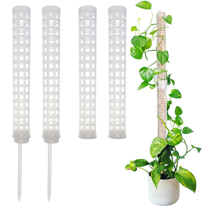 Columna de soporte para planta - Sphagnum Moss Dry reseña y precio
