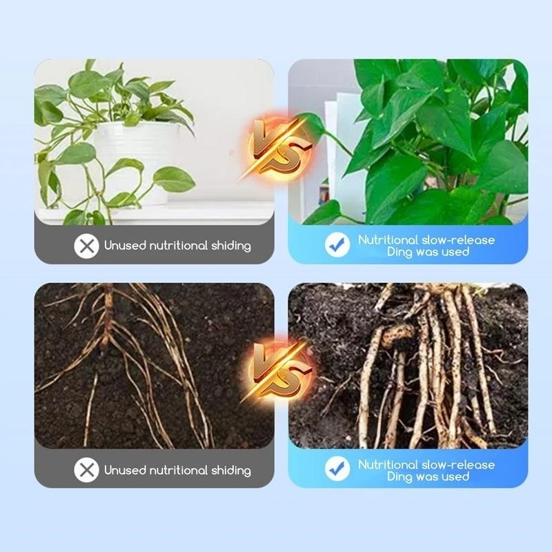 2 bolsas de hormona de enraiza - Rooting Hormone Powder reseña y precio