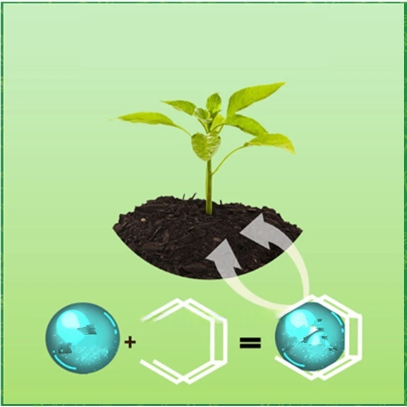 Polvo de hormona de enraizamie - Rooting Hormone Powder reseña y precio