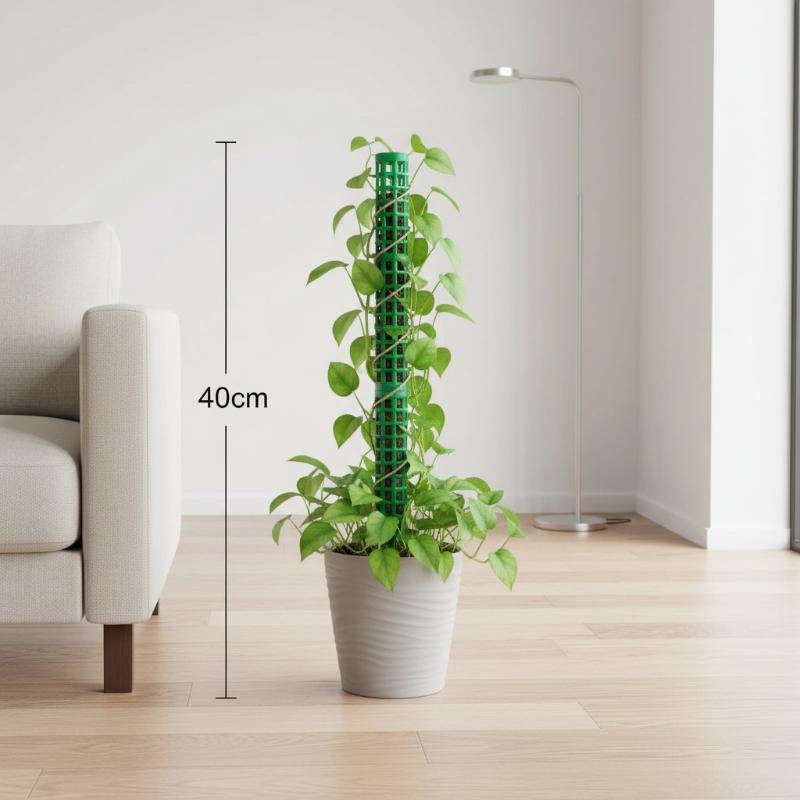 Soporte para Plantas Trepadora - Sphagnum Moss Dry reseña y precio