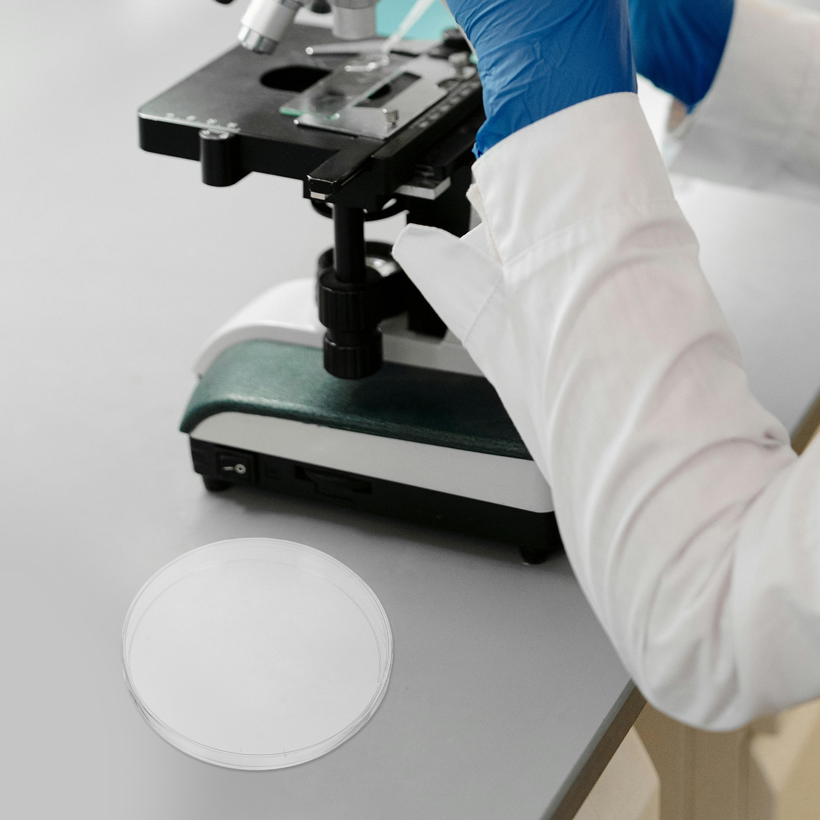 10 Placas de Petri de Laborato - Agar Tissue Culture reseña y precio