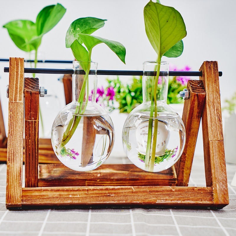 Maceta de vidrio de mesa, esta - Propagation Station Vase reseña y precio
