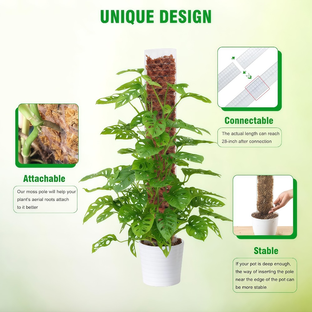 Soporte de Plástico para Plant - Sphagnum Moss Dry reseña y precio
