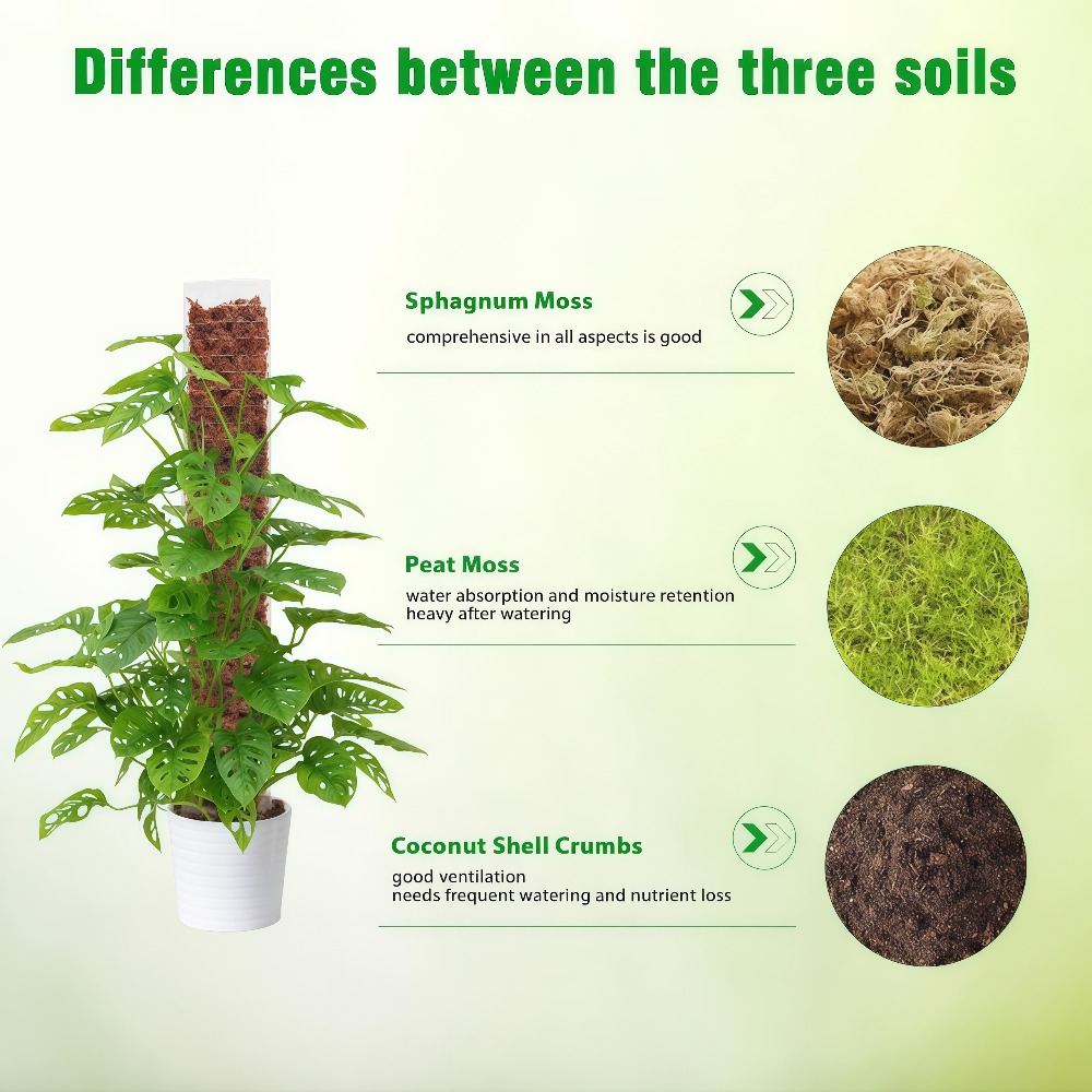Soporte de Plástico para Plant - Sphagnum Moss Dry reseña y precio